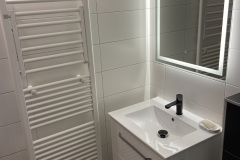 Badkamer-wastafel